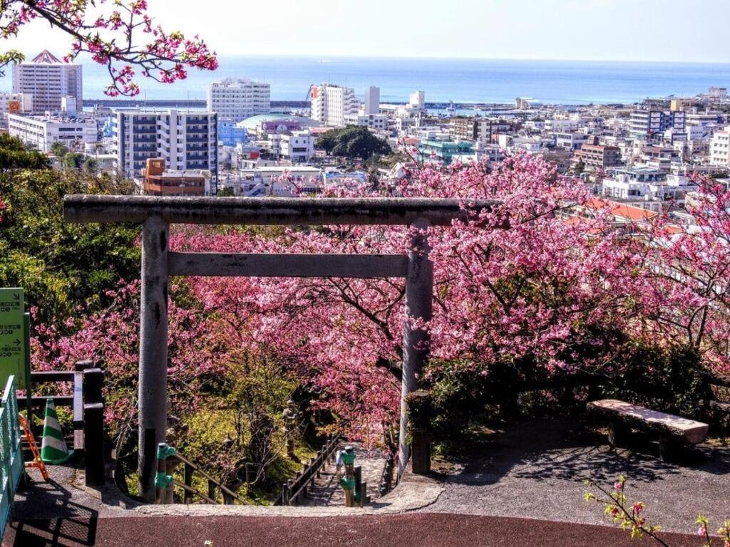 Mizunowa B035 Vila Nago Exterior foto